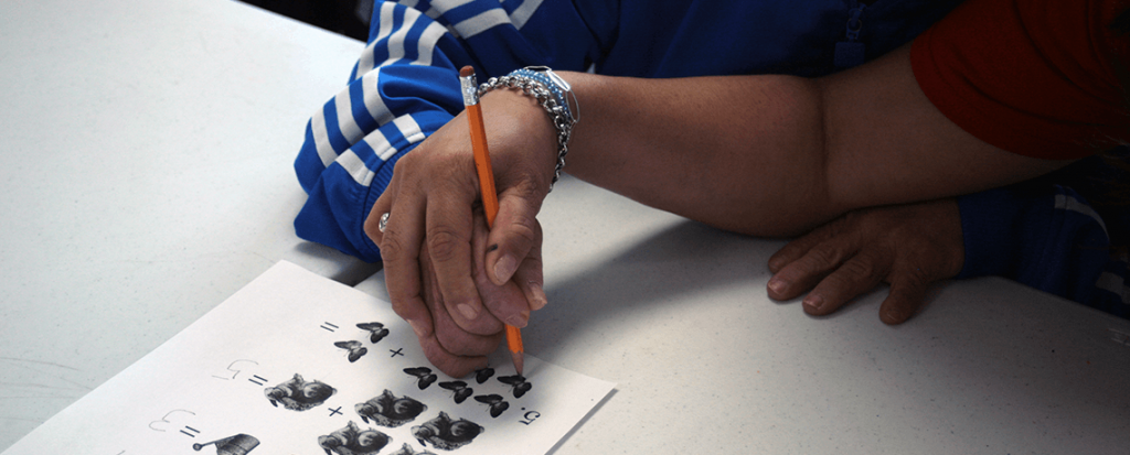 What We Do Aim Higher Inc