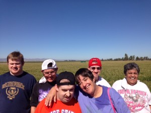 Dixon Corn Maze (2)