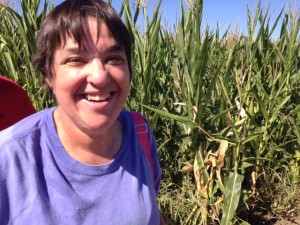 Dixon Corn Maze (5)